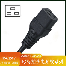 16A��о����Ʒ��β�� C19�͚W��Ʒ��β���Դ���Դ��3о����