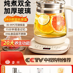 德国养生壶办公室小型家用炖煮一体玻璃煮茶器2025新款烧水壶