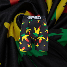 PSDͬ��ȫ���� ��ʿ��������������ӡ���ӳ�ƽ���˶��ڿ��Ľǿ�