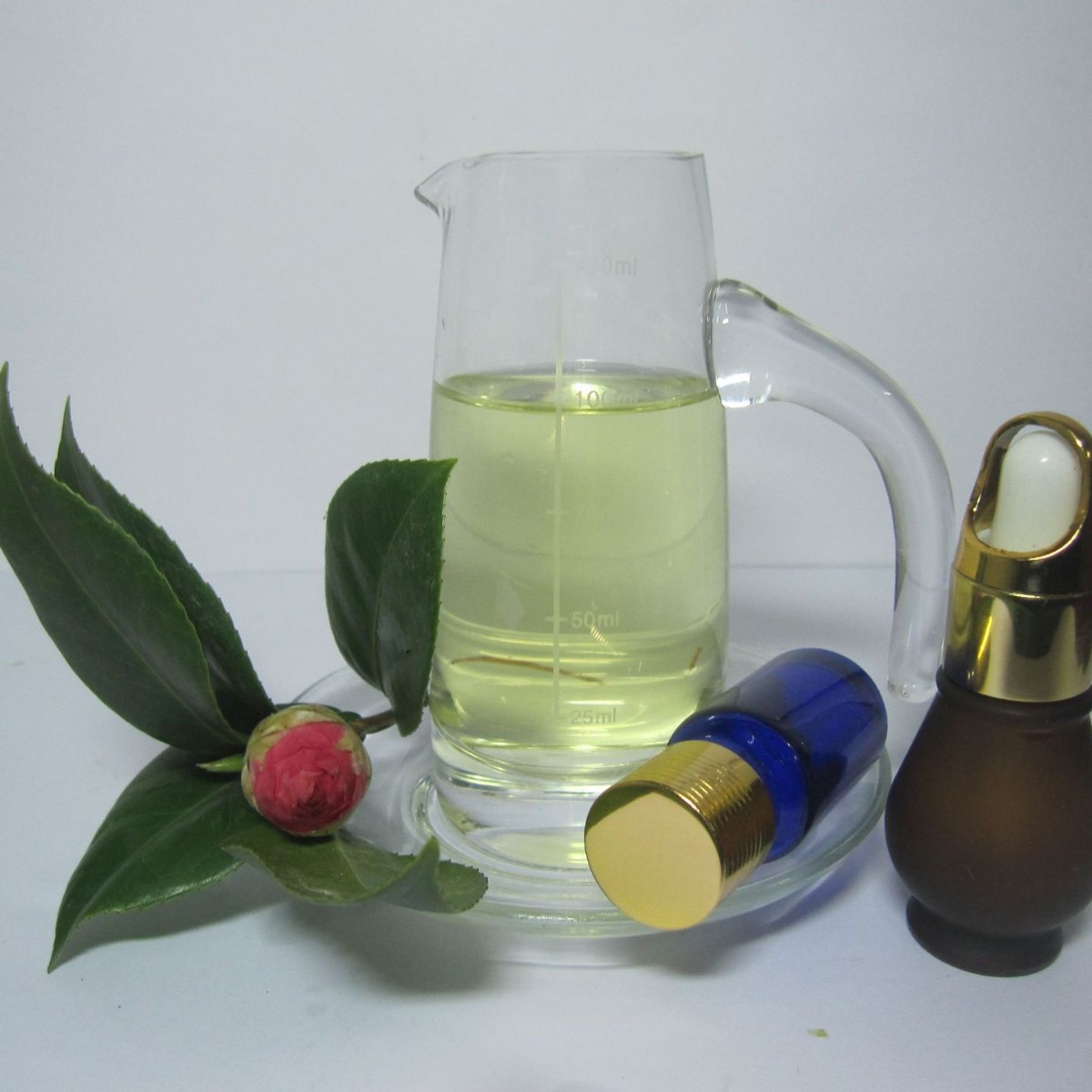 �㸽��ֲ��������   ֲ�������� �㸽����