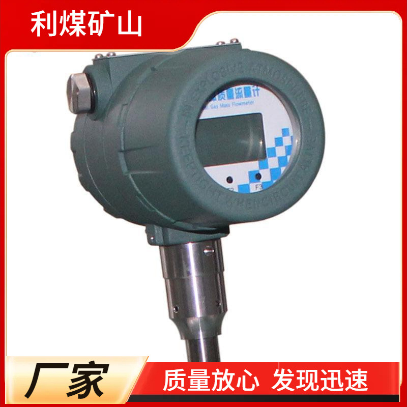 供应DMF-1系列 高压质量流量计气密性检测仪热式气体质量流量计