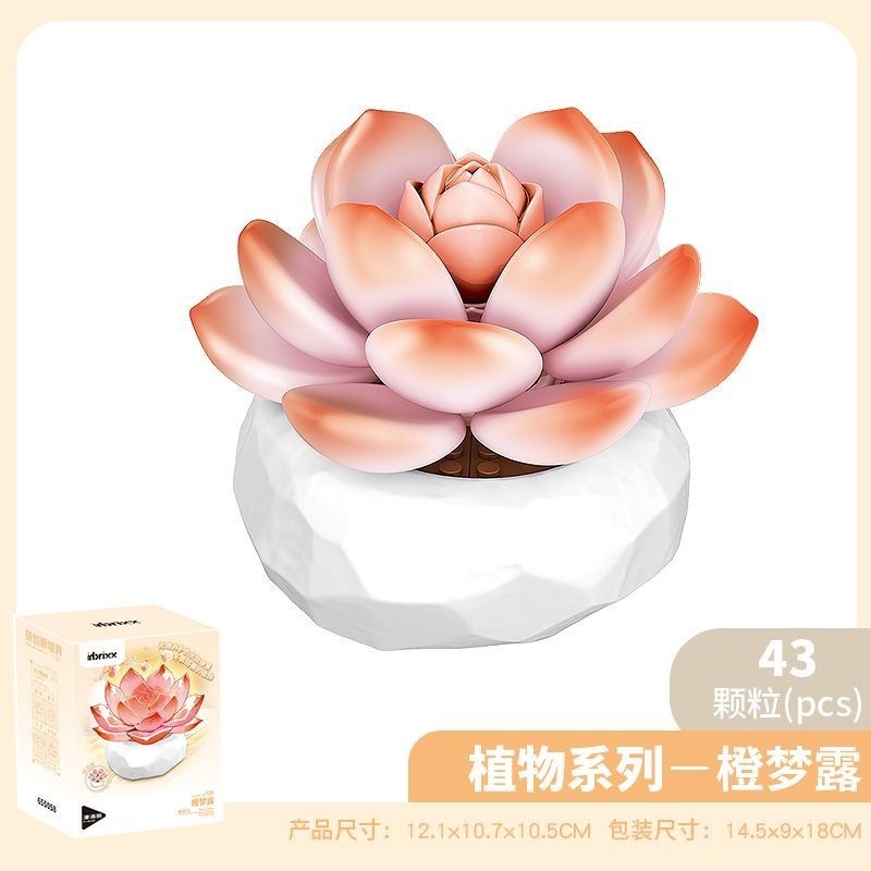 ペンローズ多肉植物ビルディングブロック花植物ビルディングブロック鉢植えデスクトップ装飾品ホリデーギフトビルディングブロック|undefined