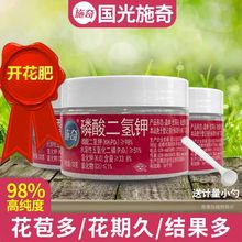 国光施奇磷酸二氢钾肥料花卉专用养植物盆栽促花磷钾肥水溶叶面肥