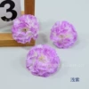 Shallow purple