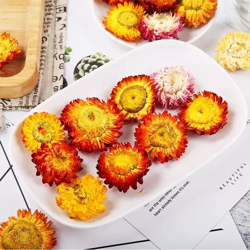 Seven Color Chrysanthemum Dried Flowers Qi Cai Ju Herbal Tea 500g Yunnan Wholesale key features