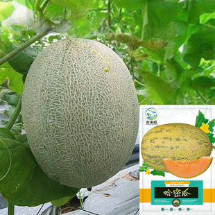 ���Թ��ܹϷN�ӾW�y���ܹϳ����ϱ����ļ�ˮ�������̨�����߲���