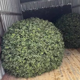 仿真绿植;鲜花花艺制品;仿真草皮