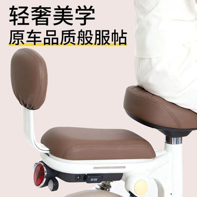 Seasons, Electric car cushion