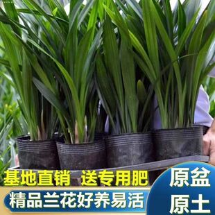 ī�m������ԝ�����~�҃ȿ͏d�ļ����B���˾Gֲ����