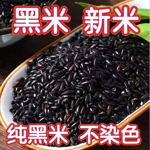 �������l500�˖|�������׺ڲ��׺���������s�Zֱ���S��ֱ��