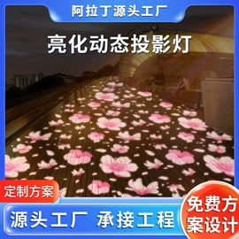 广告灯具;舞台灯;太阳能灯