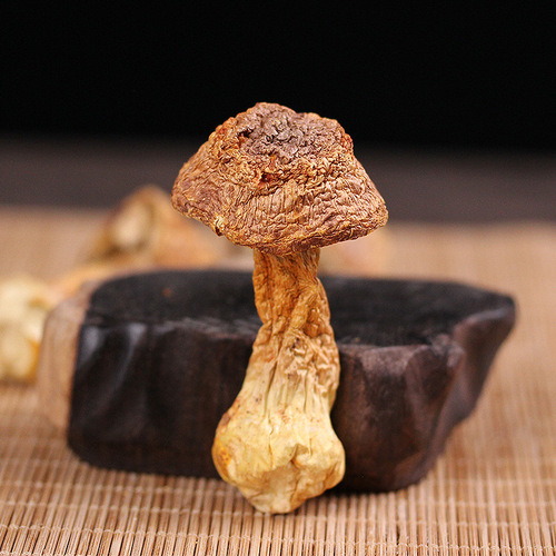 Yunnan specialty Agaricus blazei mushroom dry goods wholesale edible Brazilian mushroom bulk matsutake mushroom edible Agaricus blazei mushroom wholesale
