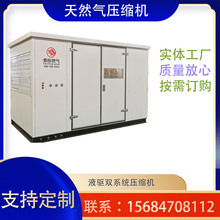 燃气设备天然气压缩机防爆专用厂家生产供应节能省电cng