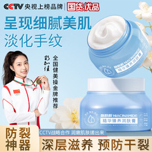 SzwA˪aˮ̝nwww˪δl