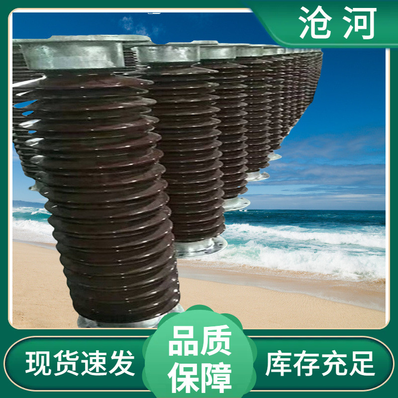 户外陶瓷棒型支柱绝缘子ZSW- ZSW2-220/16K-3棒型瓷支柱电力器材