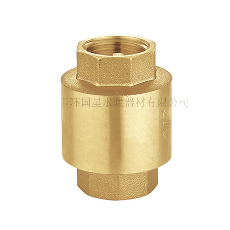 黄铜立式止回阀内丝弹簧止回阀 黄铜止回阀铜带网止回阀