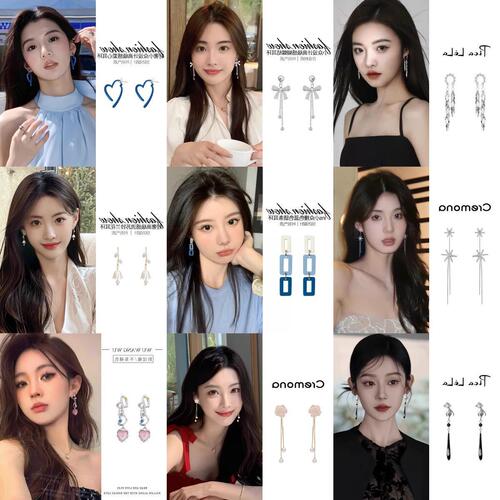 Dongju niche s925 silver needle Korean geometric fringe earrings fashionable temperament earrings for women matchy-matchy earring