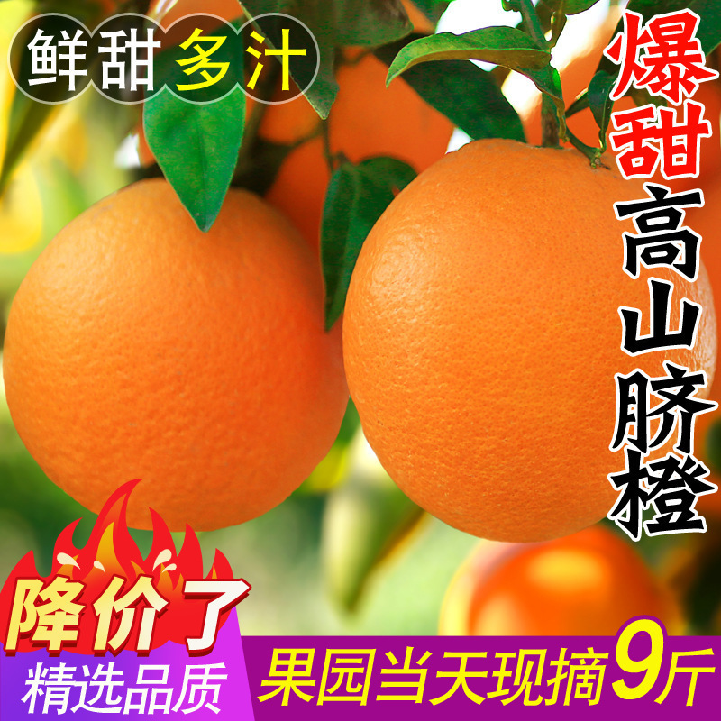 Orange Jiangxi Gan Nan Variety Navel Orange 5kg Fresh Fruit Seasonal Whole Box Authentic Juicing Sweet Seasonal Fruit Orange Jiangxi Gan Nan Variety Navel Orange 5kg Fresh Fruit Seasonal Whole Box Authentic Juicing Sweet Seasonal Fruit