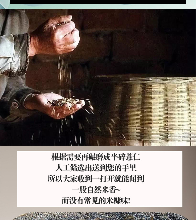 Yunnan Old Variety Coix Seed Broken Job's Tears Mojiang Glutinous Coix Grain 500g in use
