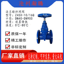 工厂批发弹性座封闸阀Z45X 软密封闸阀 铸铁闸阀软密封法兰闸阀