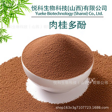 肉桂多酚肉桂提取物肉桂粉另有肉桂多酚多规格厂家现货直发