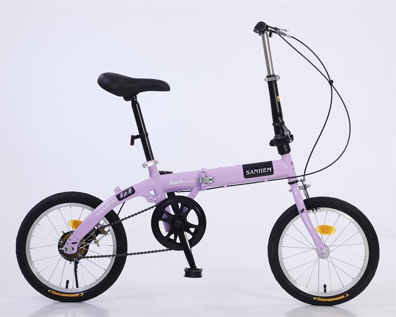 _54A4182_看图王(1)