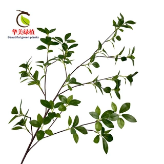 仿真小榕树叶 绿叶假植物假树叶家居装饰拍摄摄背景长枝细叶榕