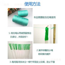 �ә�ֲ�����پW�N�϶��ǵ��Ͻz�Ͽ���S�ϰ�����W�Nֲ�����r�þW