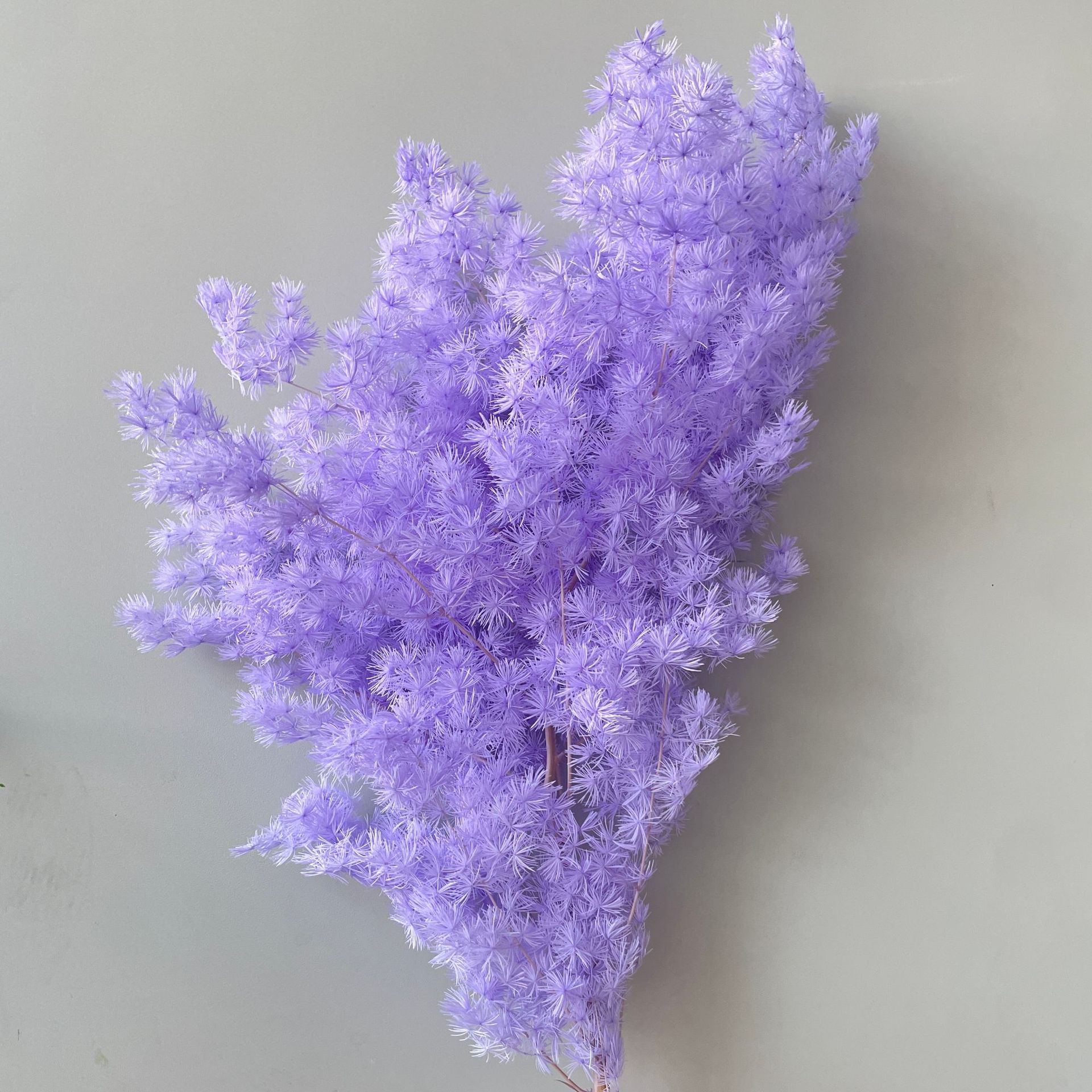 Biru salju
