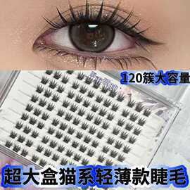 超大量粘胶款轻薄款猫系假睫毛不扎眼轻盈分段式韩式氛围感清透