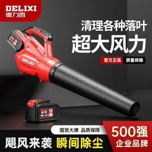 Delixi Rechargeable Blower Powerful Hair Dryer High Power Industrial Wireless Soot Blower Lithium Storm Gun