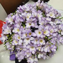 ��ѩ�m�N��С�n�m�ļ�����������׷N�������ԷN�ӝ����^���Gֲ��