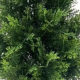 Amazon cross-border hotel floor decoration outdoor wedding ornaments fake pine cypress tree Christmas tree simulation cypress potted plant