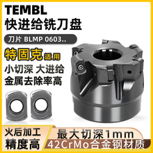 世工快进给铣刀盘TEMBL高进给刀盘特固克适用双面铣刀片BLMP0603