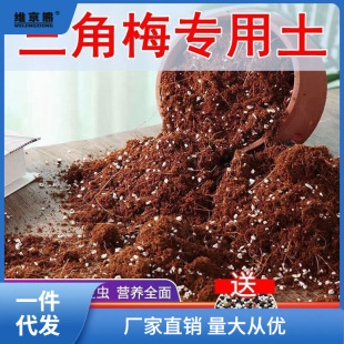 Triangular Plum Soil, Triangular Plum Nutritious Soil, Universal Green Plant Indoor Potted Soil, Acidic Sand, Mud Soil, Aromatic