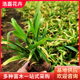 �m�������缪��� ������ֲ�����ͺ��ļ������^�p�� �m����������