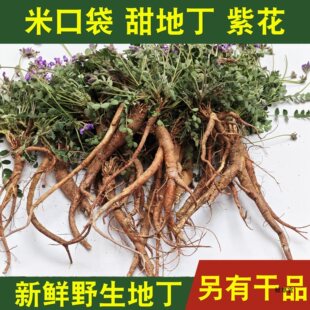 ���r��ض�С�׿ڴ��ϻ��ض��}���ض����󲼴����װW�W����؛��