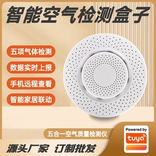 Graffiti Scheme Air Quality Detector Intelligent Temperature Humidity Formaldehyde Carbon Dioxide Five-in-One Air Box