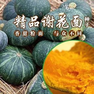 �x�����ϹϷN�ӵ��S�㻨�GƤ�C������������Ϲ����泬���ļ��߲�