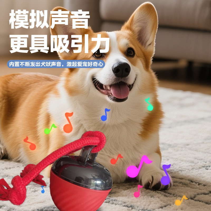 跨境宠物智能滚动球滚动球电动狗狗解闷智能耐咬逗狗球磨牙玩具|undefined