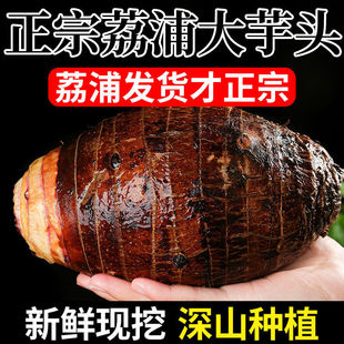 �F�ڬF�l���ڏV���������r�����^�������Ŵ�ش�������]�羳