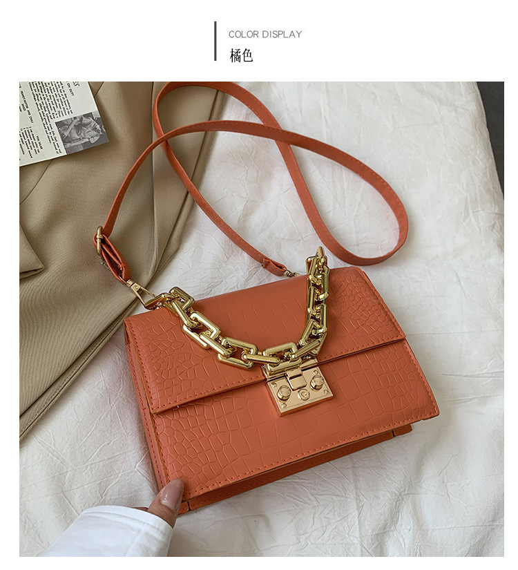 Fashion Fashionable Small Square Bag 2021 Spring And Summer New Chain Women's Bag Shoulder Crossbody Small Handbags One Piece Dropshipping display picture 5