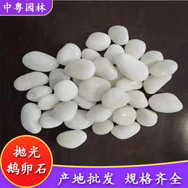 天然雨花石花园庭院装饰石头白色鹅卵石彩色雨花石白色鹅卵石批发