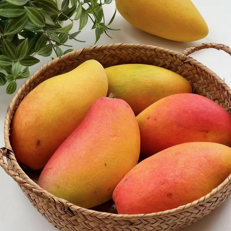 Hainan Guifei Mango Red Golden Dragon Tropical Fresh Fruit Seasonal Whole Box Free Shipping Seasonal Sweetheart Mango Free Shipping Dropshipping Hainan Guifei Mango Red Golden Dragon Tropical Fresh Fruit Seasonal Whole Box Free Shipping Seasonal Sweetheart Mango Free Shipping Dropshipping