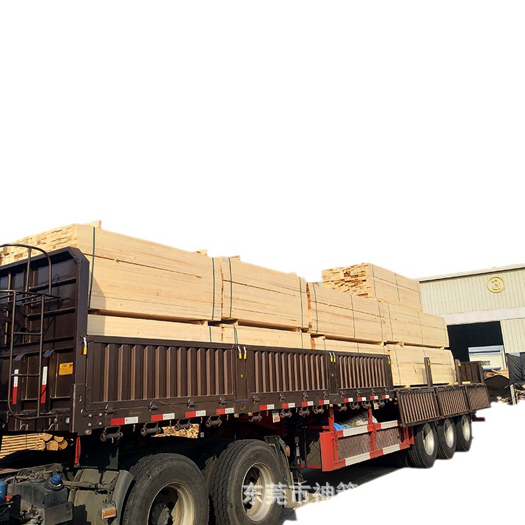 ���� ����ľ�� ������ľ�� �������� �����ǿ ���ż�ʵ