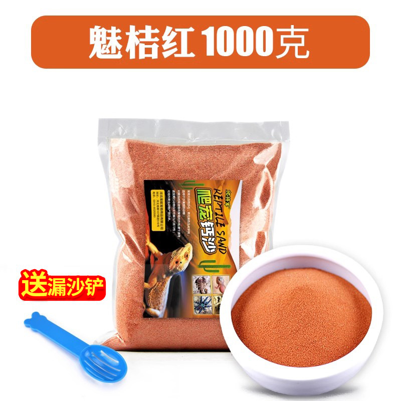 매력적인 오렌지 1KG