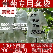 葡萄代子套果袋水果套袋纸套果子的袋子果树葡萄袋子防鸟防麦太保