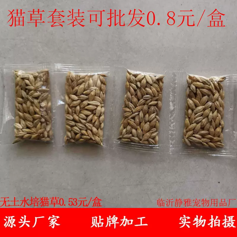 大麦批发 猫草种植套装内含大麦单独批发化毛球猫草