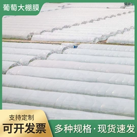 农用薄膜;包装薄膜;功能薄膜