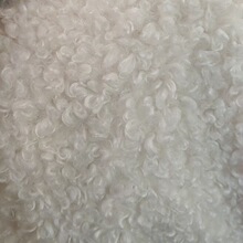 布料批发 中羊卷羊羔毛仿羊绒大羊卷布 毛绒外套抱枕宠物用品面料